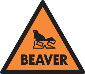 Beaver-Construction-Limited